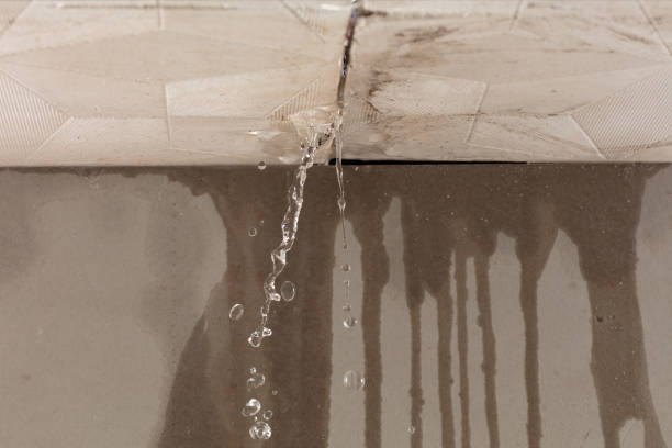 Professional Water Extraction technician working in Freeport, FL